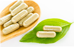 Organic siberian ginseng capsules